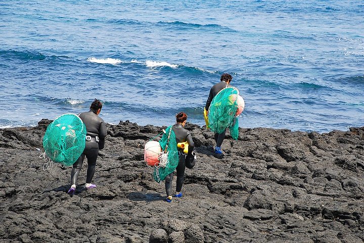 Tour UNESCO di Jeju Est con raccolta mandarini, Seongsan Ilchulbong e subacquee Haenyeo, foto 17 | wizardtrip