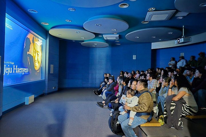 Tour UNESCO di Jeju Est con raccolta mandarini, Seongsan Ilchulbong e subacquee Haenyeo, foto 20 | wizardtrip