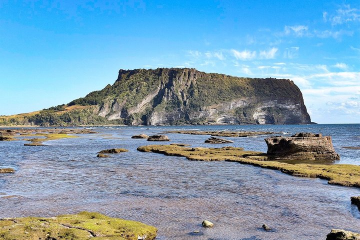 Tour UNESCO di Jeju Est con raccolta mandarini, Seongsan Ilchulbong e subacquee Haenyeo, foto 24 | wizardtrip
