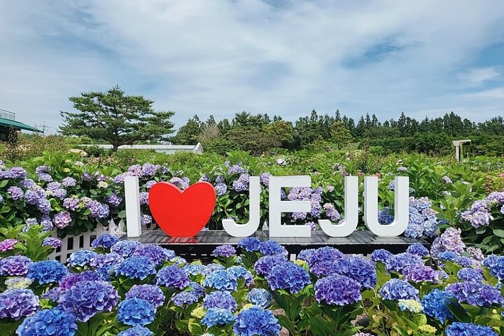 Tour privado de carro explorando os locais populares e joias escondidas da Ilha de Jeju, foto 17 | wizardtrip