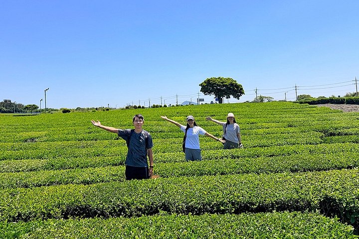 Jeju West South Tagestour mit Haenyeo, Mt. Halla und UNESCO-Stätten, Foto 9 | wizardtrip