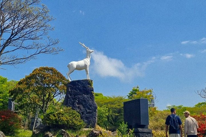 Jeju West South Tagestour mit Haenyeo, Mt. Halla und UNESCO-Stätten, Foto 10 | wizardtrip