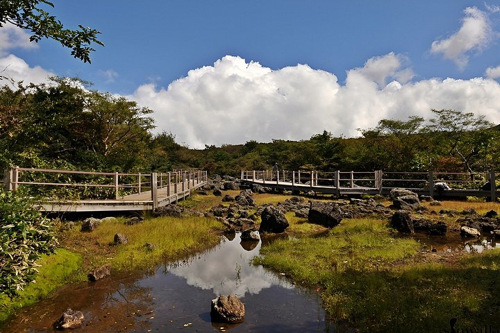 Jeju West South Tagestour mit Haenyeo, Mt. Halla und UNESCO-Stätten, Foto 11 | wizardtrip