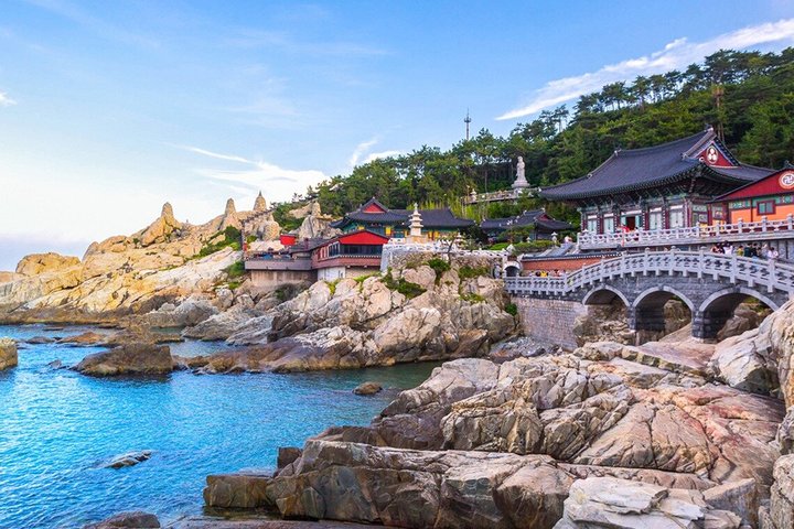 Busan : Visite Complète des Sites Incontournables | wizardtrip