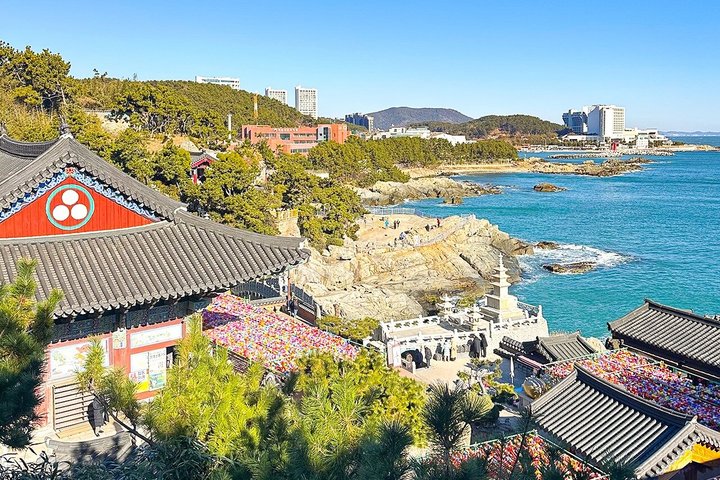 Lo más destacado del tour por la ciudad de Busan, incluyendo templos, vistas costeras y pueblos culturales, foto 10 | wizardtrip