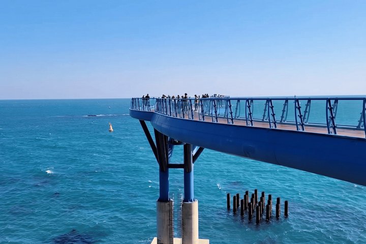 Lo más destacado del tour por la ciudad de Busan, incluyendo templos, vistas costeras y pueblos culturales, foto 11 | wizardtrip