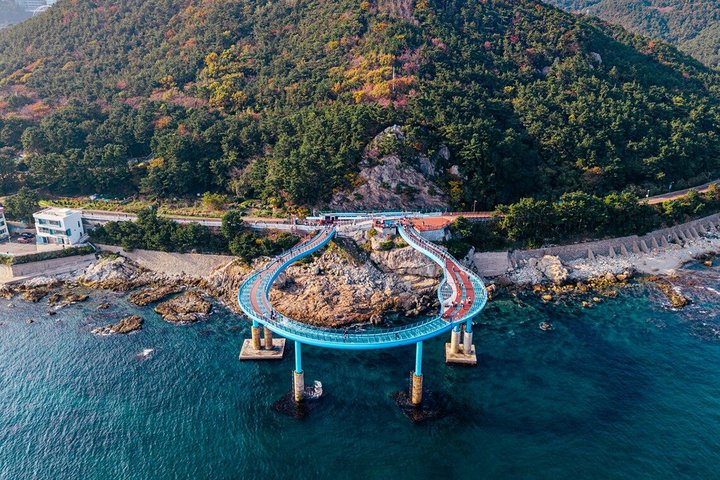 Lo más destacado del tour por la ciudad de Busan, incluyendo templos, vistas costeras y pueblos culturales, foto 12 | wizardtrip