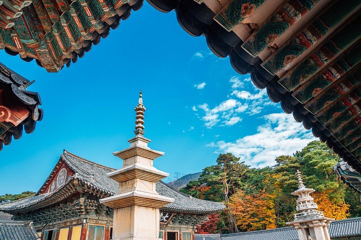 Heldagstur från Busan till Gyeongju, utforskar UNESCO-platser, traditionella byar och naturlandskap, foto 13 | wizardtrip
