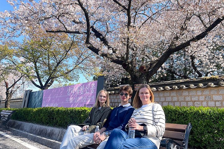 Heldagstur från Busan till Gyeongju, utforskar UNESCO-platser, traditionella byar och naturlandskap, foto 21 | wizardtrip