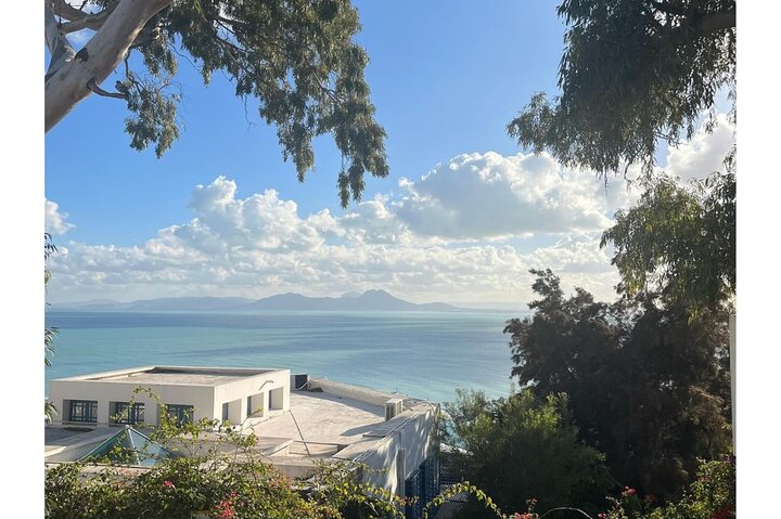 Privat guidet tur til Sidi Bou Said, Karthago og Tunis Medina fra Sousse, foto 6 | wizardtrip