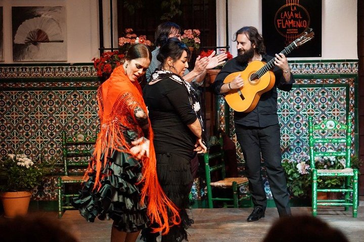 Experience authentic flamenco, tapas, and wine in Seville's historic center, photo 6 | wizardtrip