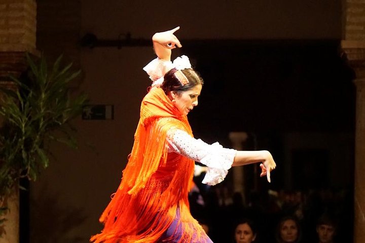 Experience authentic flamenco, tapas, and wine in Seville's historic center, photo 7 | wizardtrip