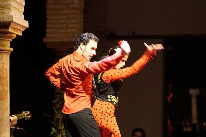 Experience authentic flamenco, tapas, and wine in Seville's historic center, photo 8 | wizardtrip
