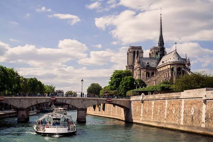 Visite guidée des monuments parisiens, y compris la Tour Eiffel, le musée du Louvre et la Seine, photo 12 | wizardtrip