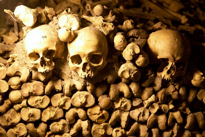Paris Catacombs Guided Tour with Exclusive Access to Secret Areas | wizardtrip