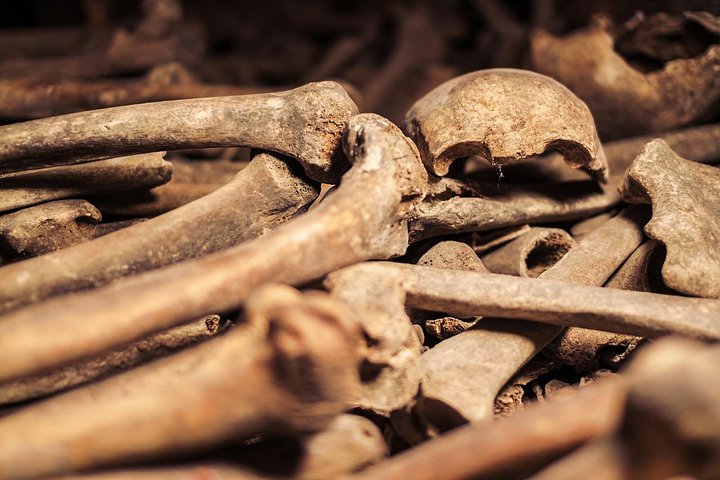 Visita guidata alle Catacombe di Parigi, esplorando tunnel ossari sotterranei e aree segrete, foto 40 | wizardtrip