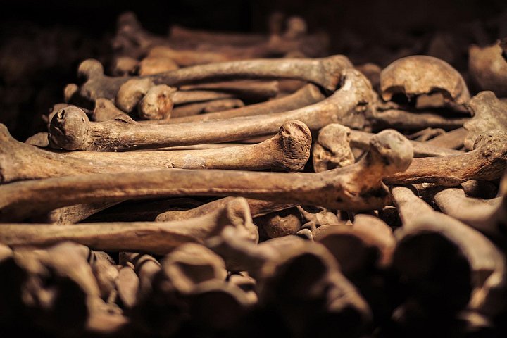 Visita guidata alle Catacombe di Parigi, esplorando tunnel ossari sotterranei e aree segrete, foto 43 | wizardtrip