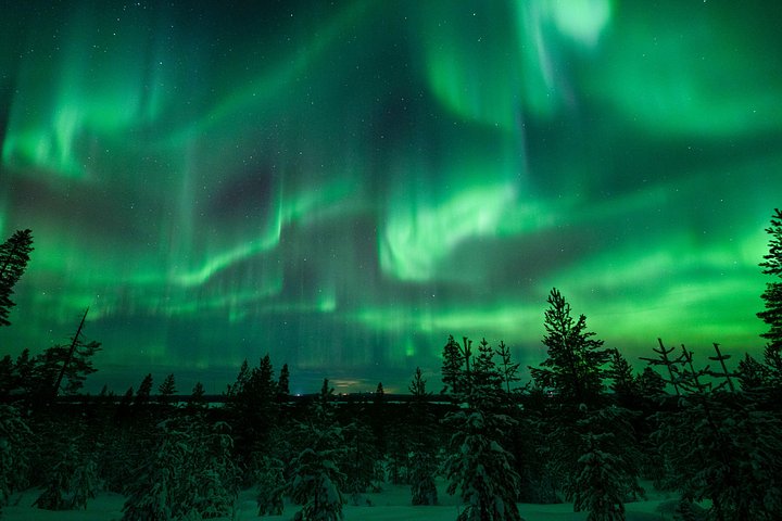 Tour fotografico di gruppo ridotto dell'aurora boreale a Rovaniemi, Finlandia, con guide esperte, foto 10 | wizardtrip