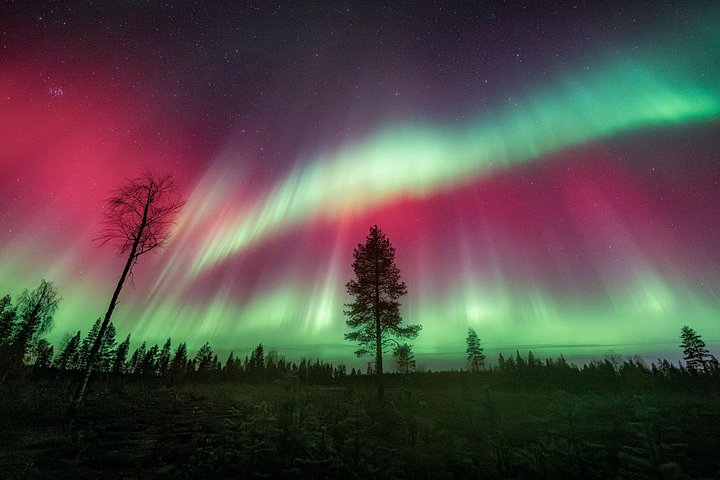 Tour fotografico di gruppo ridotto dell'aurora boreale a Rovaniemi, Finlandia, con guide esperte, foto 11 | wizardtrip