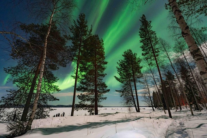 Tour fotografico di gruppo ridotto dell'aurora boreale a Rovaniemi, Finlandia, con guide esperte, foto 26 | wizardtrip