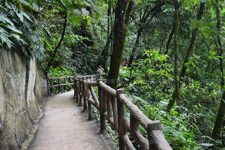 Explorez la magnifique cascade La Fortuna au Costa Rica, une merveille naturelle entourée d'une forêt tropicale luxuriante, photo 10 | wizardtrip
