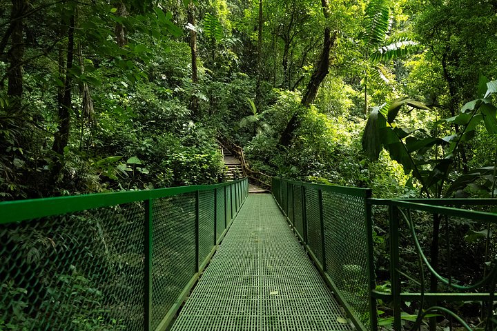Explorez la magnifique cascade La Fortuna au Costa Rica, une merveille naturelle entourée d'une forêt tropicale luxuriante, photo 13 | wizardtrip