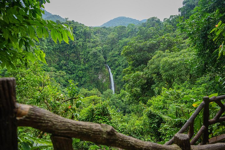 Explorez la magnifique cascade La Fortuna au Costa Rica, une merveille naturelle entourée d'une forêt tropicale luxuriante, photo 14 | wizardtrip