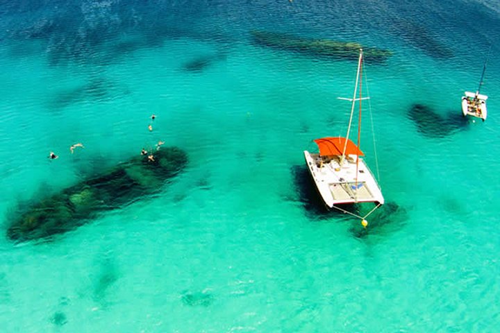 Barbados Catamaran Turtle Snorkel met Lunch en Open Bar | wizardtrip
