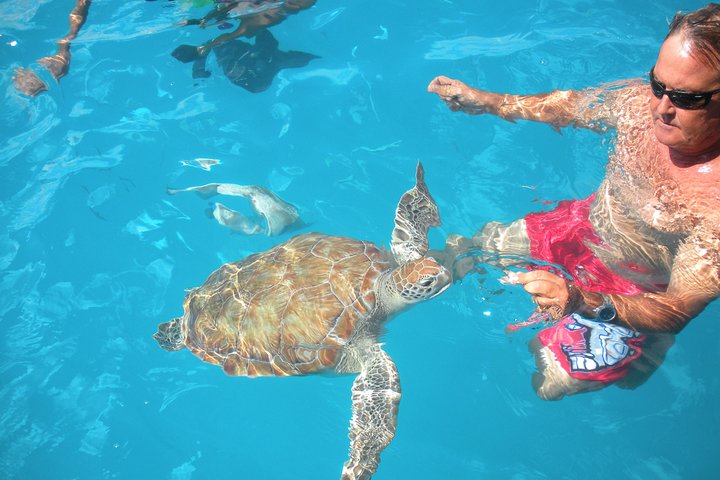 Catamaran cruise op Barbados met schildpadden snorkelen, lunch en open bar, foto 5 | wizardtrip