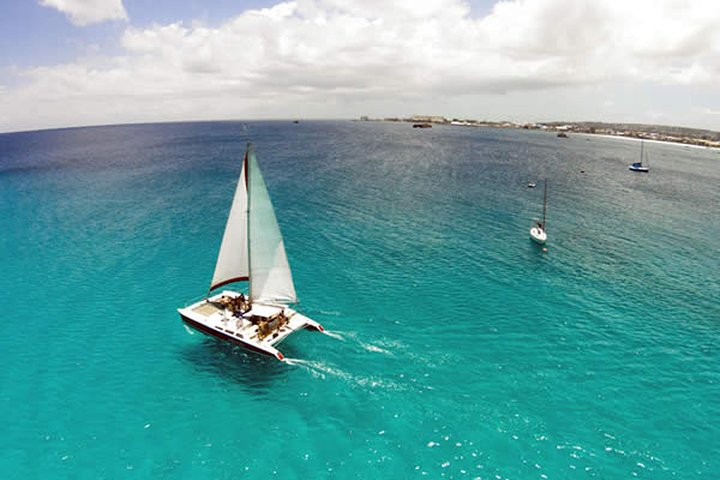 Catamaran cruise op Barbados met schildpadden snorkelen, lunch en open bar, foto 6 | wizardtrip
