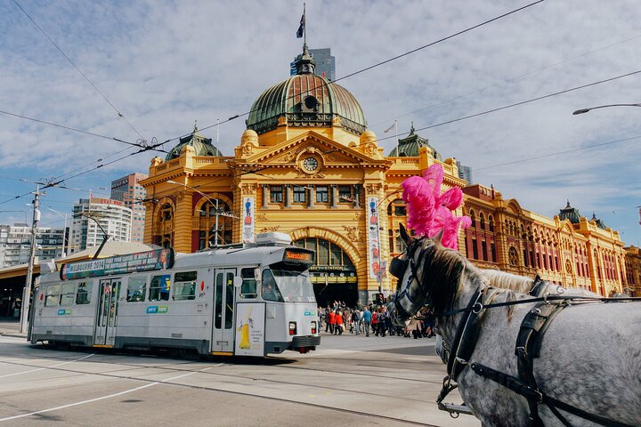 Explore Melbourne's vibrant laneways, historic architecture, and cultural landmarks on a guided walking tour, photo 15 | wizardtrip