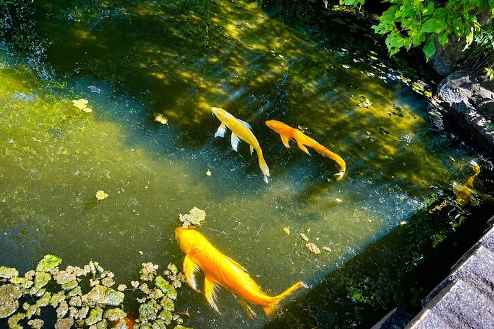 東京の皇居東御苑の歴史ウォーキングツアー、江戸城跡と静かな日本庭園を探検、写真17 | wizardtrip