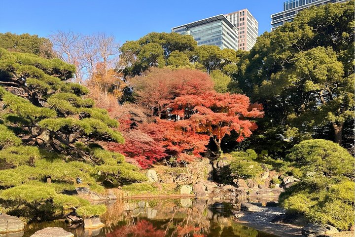 東京の皇居東御苑の歴史ウォーキングツアー、江戸城跡と静かな日本庭園を探検、写真18 | wizardtrip