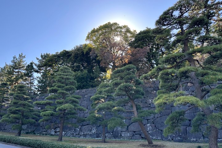 東京の皇居東御苑の歴史ウォーキングツアー、江戸城跡と静かな日本庭園を探検、写真23 | wizardtrip