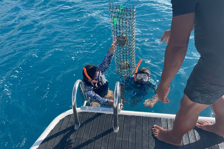 ボラボラ島のラグーンを探検し、ガイド付きツアーでブラックパールの養殖の秘密を発見しましょう、写真10 | wizardtrip