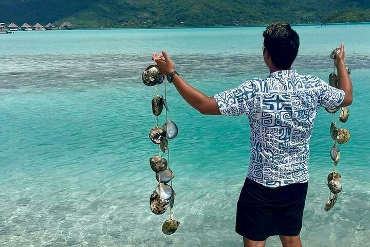 ボラボラ島のラグーンを探検し、ガイド付きツアーでブラックパールの養殖の秘密を発見しましょう、写真15 | wizardtrip