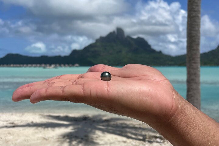 ボラボラ島のラグーンを探検し、ガイド付きツアーでブラックパールの養殖の秘密を発見しましょう、写真18 | wizardtrip
