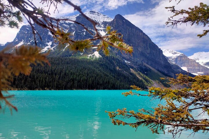 Skyttelbuss til ikoniske destinasjoner i de kanadiske Rocky Mountains som Lake Louise og Moraine Lake, foto 7 | wizardtrip