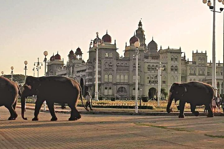 Heldagstur som utforskar Mysores palats, tempel, marknader och Srirangapatnas historiska platser från Bangalore, foto 8 | wizardtrip