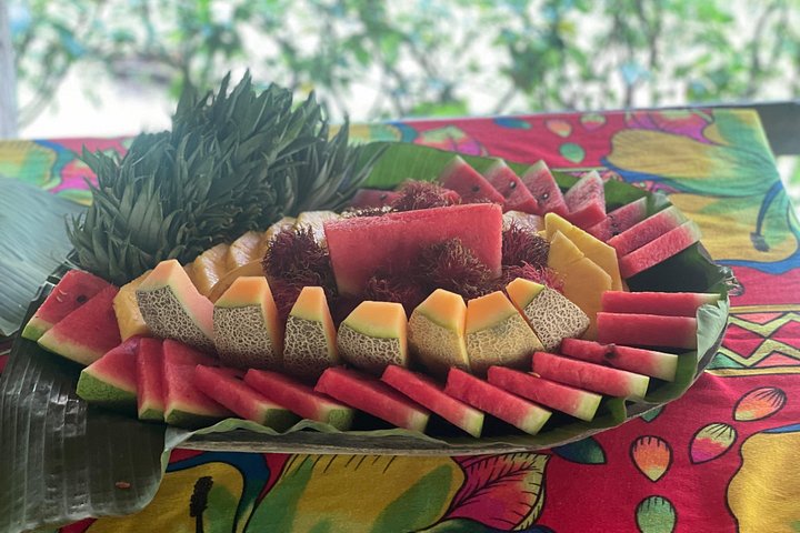 Opplev Embera-kultur, regnskoger og fossefall på en guidet tur fra Panama City, foto 8 | wizardtrip