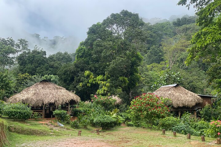 Opplev Embera-kultur, regnskoger og fossefall på en guidet tur fra Panama City, foto 9 | wizardtrip