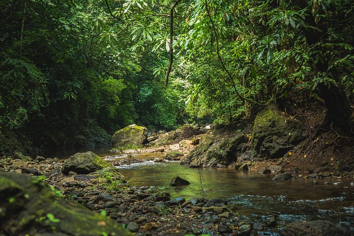 Opplev Embera-kultur, regnskoger og fossefall på en guidet tur fra Panama City, foto 17 | wizardtrip