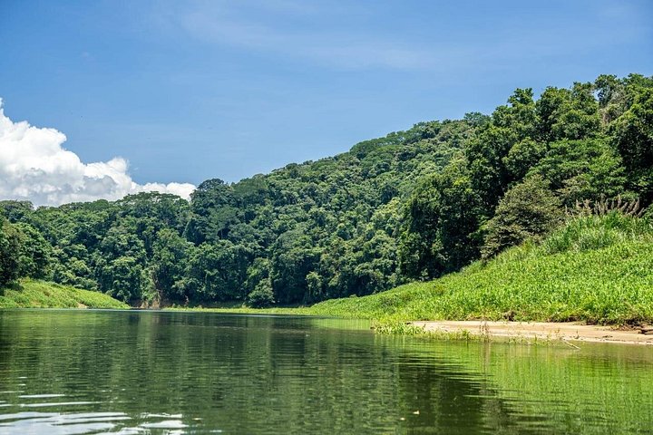 Opplev Embera-kultur, regnskoger og fossefall på en guidet tur fra Panama City, foto 20 | wizardtrip