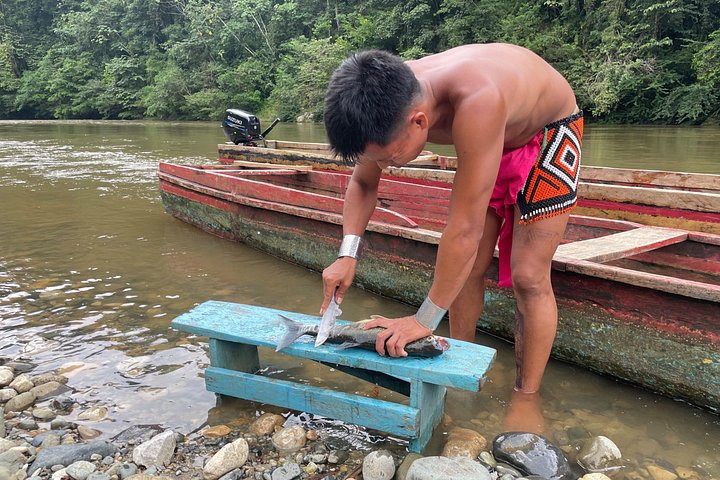 Opplev Embera-kultur, regnskoger og fossefall på en guidet tur fra Panama City, foto 25 | wizardtrip