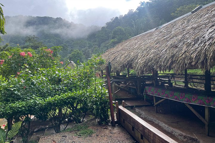 Opplev Embera-kultur, regnskoger og fossefall på en guidet tur fra Panama City, foto 26 | wizardtrip