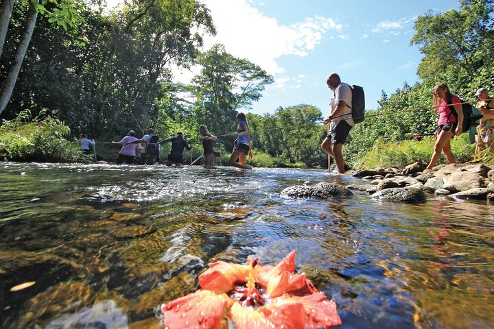 Kauai: Secret Falls Kayak and Hike | wizardtrip