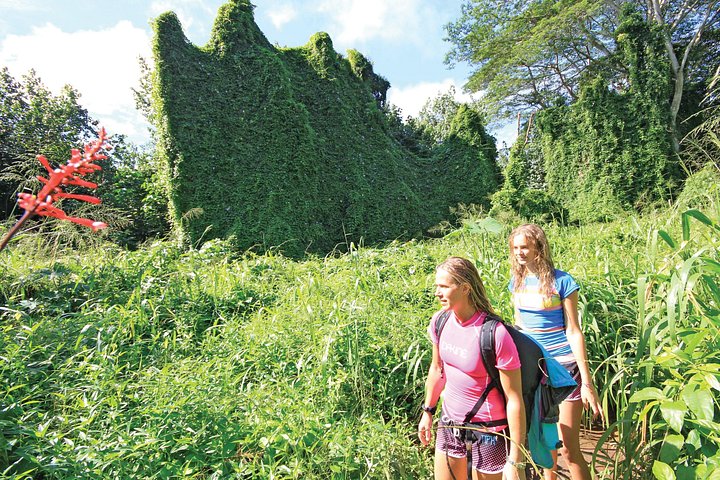 Kajak och vandra till Secret Falls på Kauais Wailua River, foto 6 | wizardtrip