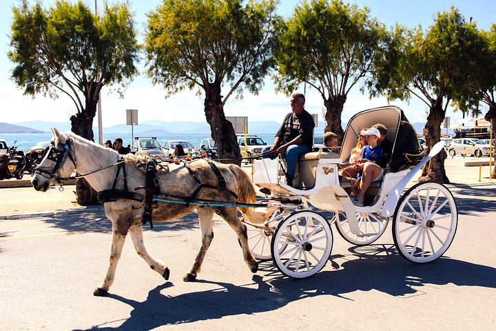 Cruzeiro de iate de luxo em Atenas visitando as ilhas de Agistri, Moni e Egina com natação e almoço, foto 23 | wizardtrip