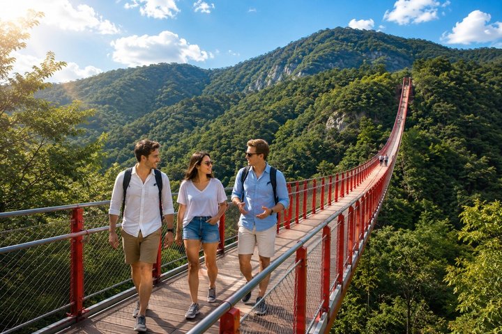 Meilleure Visite DMZ Séoul : Interview de transfuge, 3ème Tunnel & Pont Suspendu | wizardtrip