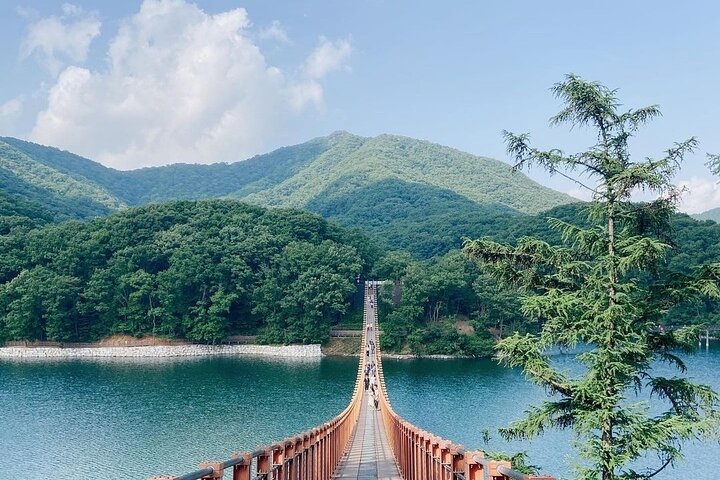 Tour pela Zona Desmilitarizada (DMZ) a partir de Seul, Coreia do Sul, incluindo túneis e observatórios, foto 6 | wizardtrip